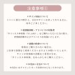 画像10: 2025年7月26日（土）【書籍出版記念イベント】 (10)